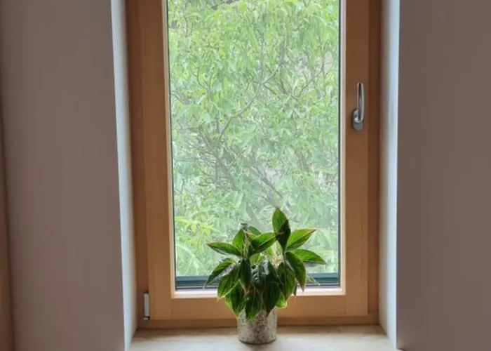 Casa vacanze Zavino Branik